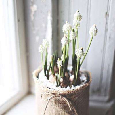 澳门新葡澳京手机app下载